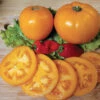 Amish Gold Slicer Tomato -Maximas Flower Shop 00034 A