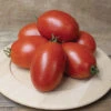 Mariana Hybrid Tomato -Maximas Flower Shop 00454 HV