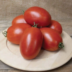 Mariana Hybrid Tomato