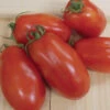 San Marzano Tomato -Maximas Flower Shop 00630 A