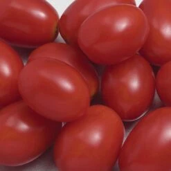 Sweet Hearts Hybrid Tomato
