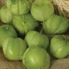 Tamayo R Hybrid Tomatillo -Maximas Flower Shop 00868