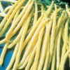 Rocdor Yellow Wax Bush Bean -Maximas Flower Shop 01135