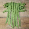 Hilda Romano Pole Bean 1 Hilda Romano Pole Bean -Maximas Flower Shop 01193 A