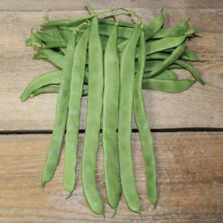 Hilda Romano Pole Bean