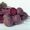 Boro Hybrid Beet -Maximas Flower Shop 01316