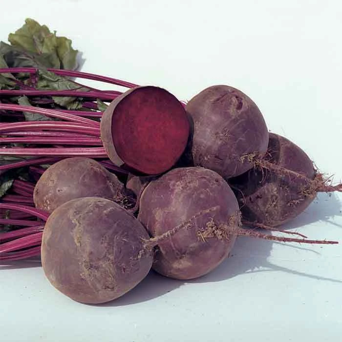 Boro Hybrid Beet 3 Boro Hybrid Beet