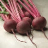 Red Ace Hybrid Beet -Maximas Flower Shop 01355b