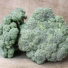 Castle Dome Hybrid Broccoli -Maximas Flower Shop 01418