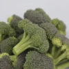 Monflor Broccoli 1 Monflor Broccoli -Maximas Flower Shop 01428