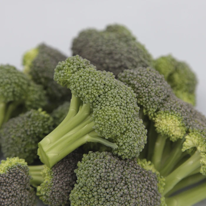 Monflor Broccoli 3 Monflor Broccoli