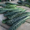 Black Magic Hybrid Kale -Maximas Flower Shop 01451