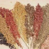 Colored Upright Sorghum Blend 1 Colored Upright Sorghum Blend -Maximas Flower Shop 01793