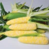 Nirvana Bicolor Hybrid Sweet Corn -Maximas Flower Shop 01844