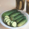 County Fair Hybrid Cucumber 1 County Fair Hybrid Cucumber -Maximas Flower Shop 02015
