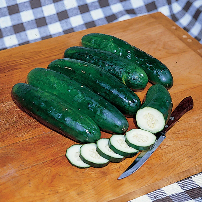 Marketmore 76 Cucumber 3 Marketmore 76 Cucumber