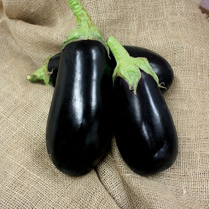 Nadia Hybrid Eggplant 3 Nadia Hybrid Eggplant