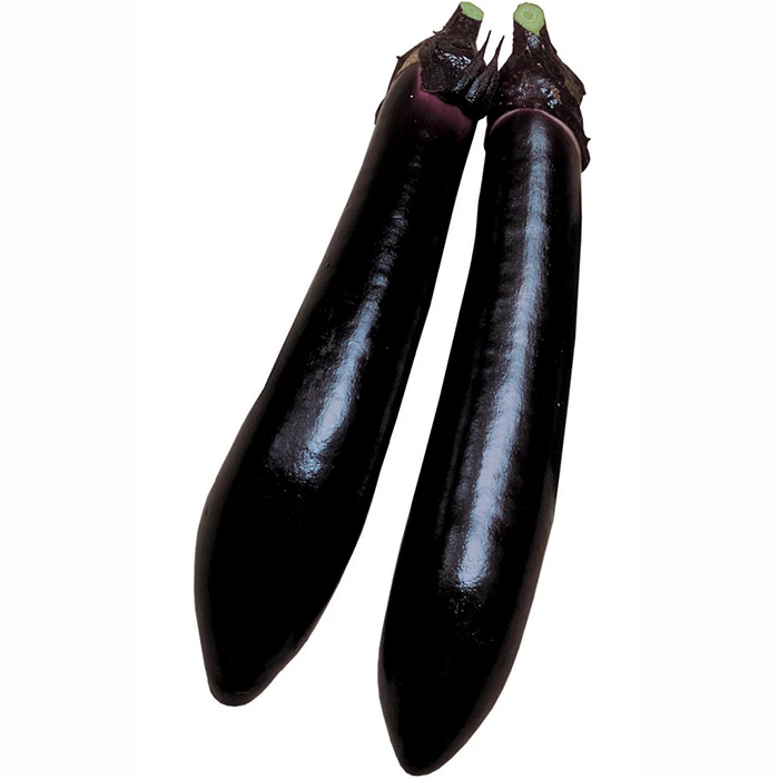 Millionaire Hybrid Eggplant 3 Millionaire Hybrid Eggplant