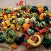 Autumn Wings Blend Gourds -Maximas Flower Shop 02324
