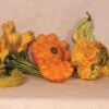 Super Freak™ Gremlin Gourds -Maximas Flower Shop 02331