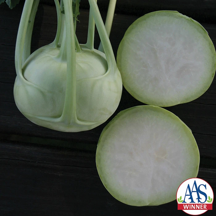 Konan Hybrid Kohlrabi 3 Konan Hybrid Kohlrabi