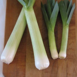 Lincoln Leek