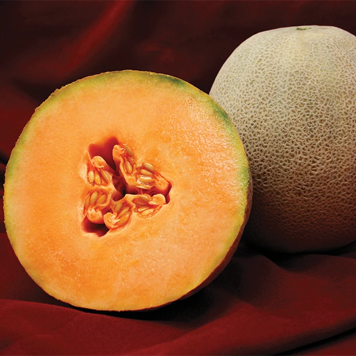 Avatar Hybrid Muskmelon Seed 3 Avatar Hybrid Muskmelon Seed