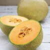 Infinite Gold Hybrid Muskmelon 1 Infinite Gold Hybrid Muskmelon -Maximas Flower Shop 02642 A