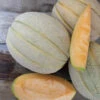Solstice Hybrid Muskmelon