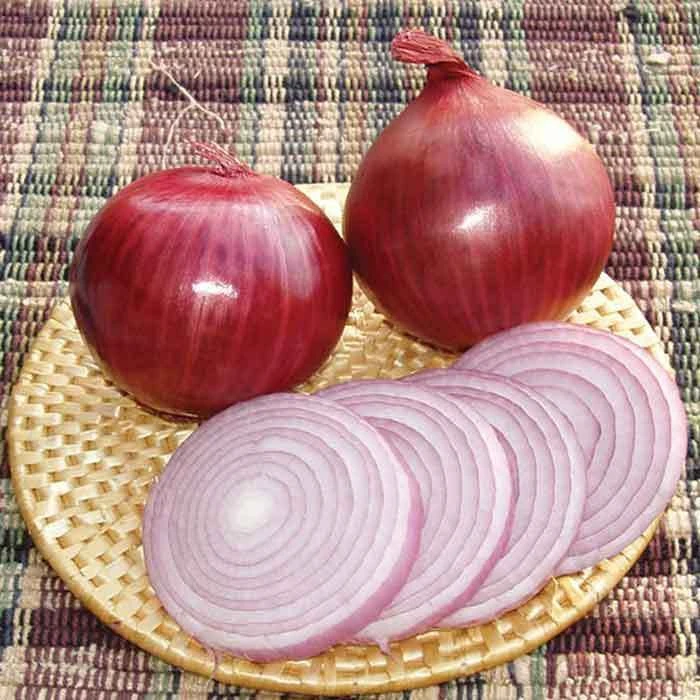 Redwing Hybrid Onion 3 Redwing Hybrid Onion