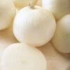 Sierra Blanca Hybrid Onion 2 Sierra Blanca Hybrid Onion -Maximas Flower Shop 02767