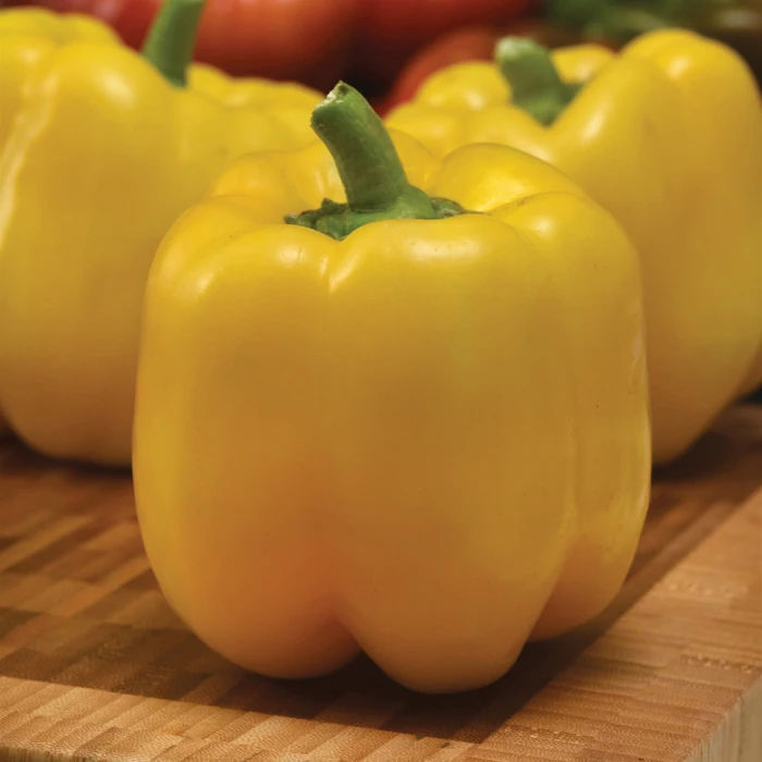 Trailblazer Hybrid Pepper 3 Trailblazer Hybrid Pepper