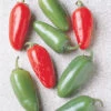 Early Jalapeno Pepper -Maximas Flower Shop 03028