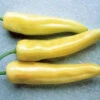 Hungarian Yellow Hot Wax Pepper 2 Hungarian Yellow Hot Wax Pepper -Maximas Flower Shop 03045