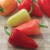 Mariachi Hybrid Pepper -Maximas Flower Shop 03058