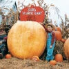 Giant Pumpkin Offer -Maximas Flower Shop 03251 Pumpkin DillsAtlanticGiant