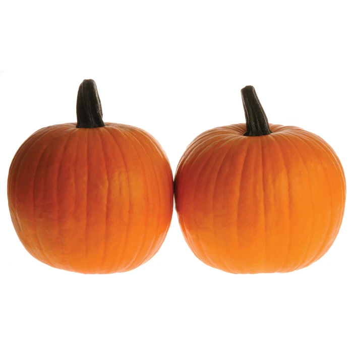 Corvette PMR Hybrid Pumpkin 3 Corvette PMR Hybrid Pumpkin