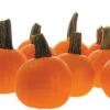 Half Pint Hybrid Pumpkin 1 Half Pint Hybrid Pumpkin -Maximas Flower Shop 03280