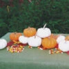 Miniature Pumpkin Offer -Maximas Flower Shop 03294