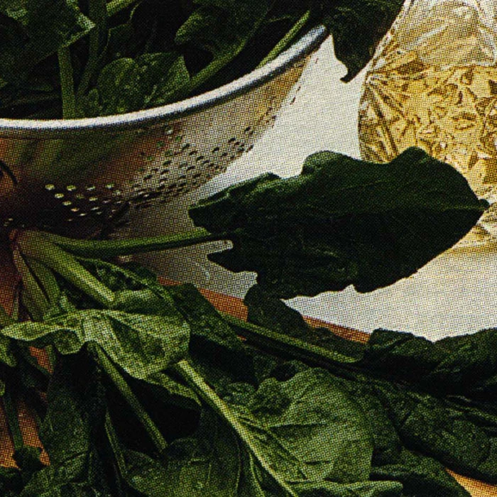 Bloomsdale Long Standing Spinach 3 Bloomsdale Long Standing Spinach