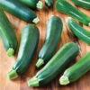 Black Beauty Zucchini Squash -Maximas Flower Shop 03510