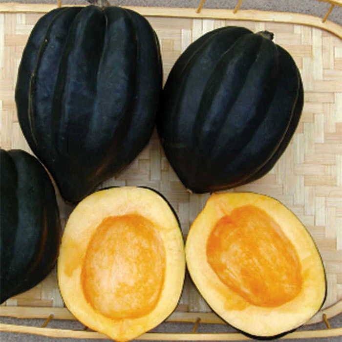 Ebony Acorn Winter Squash 3 Ebony Acorn Winter Squash