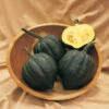 Table Treat Hybrid Acorn Winter Squash -Maximas Flower Shop 03677
