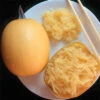 Small Wonder Hybrid Spaghetti Squash -Maximas Flower Shop 03692