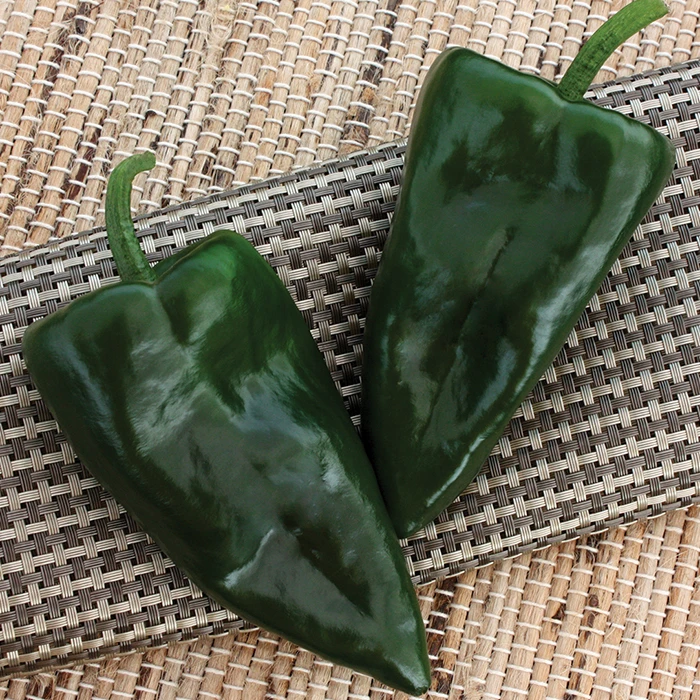 Trident Hybrid Poblano Pepper 3 Trident Hybrid Poblano Pepper