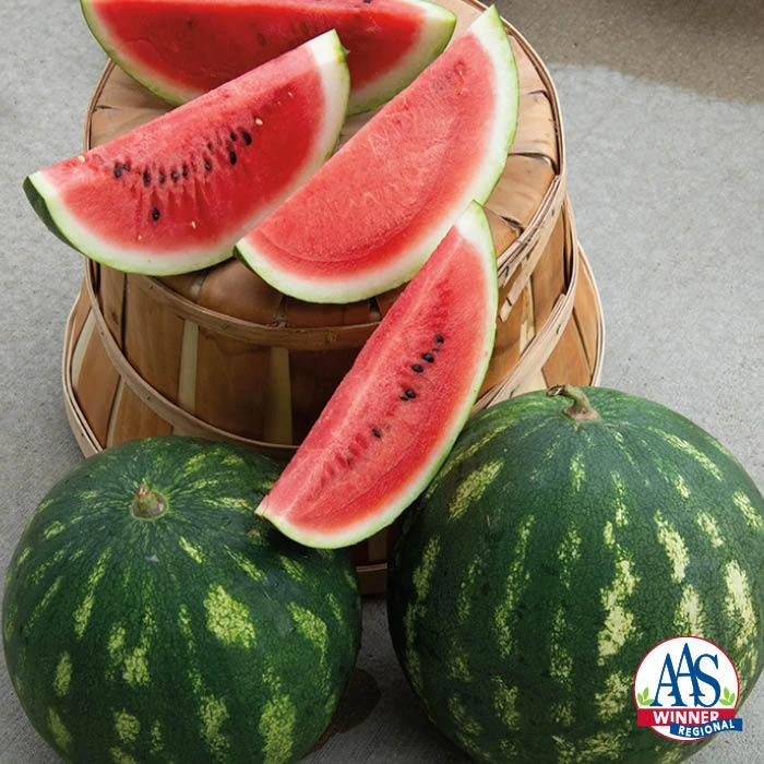 Cal Sweet Bush Watermelon 3 Cal Sweet Bush Watermelon