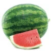 Solitaire Hybrid Seedless Watermelon -Maximas Flower Shop 04077