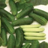 Organic Diamant Hybrid Cucumber 1 Organic Diamant Hybrid Cucumber -Maximas Flower Shop 04934