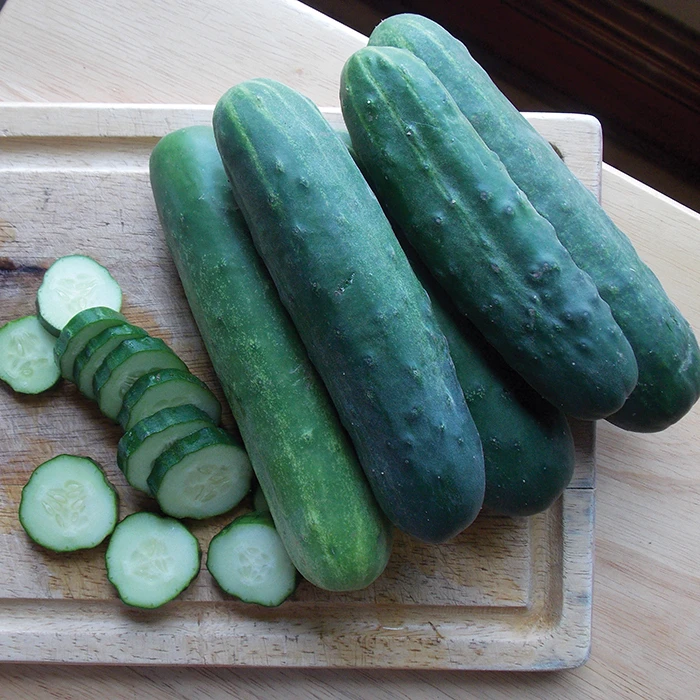 Organic Straight Eight Cucumber 3 Organic Straight Eight Cucumber