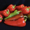 Carmen Hybrid Organic Pepper 1 Carmen Hybrid Organic Pepper -Maximas Flower Shop 04960